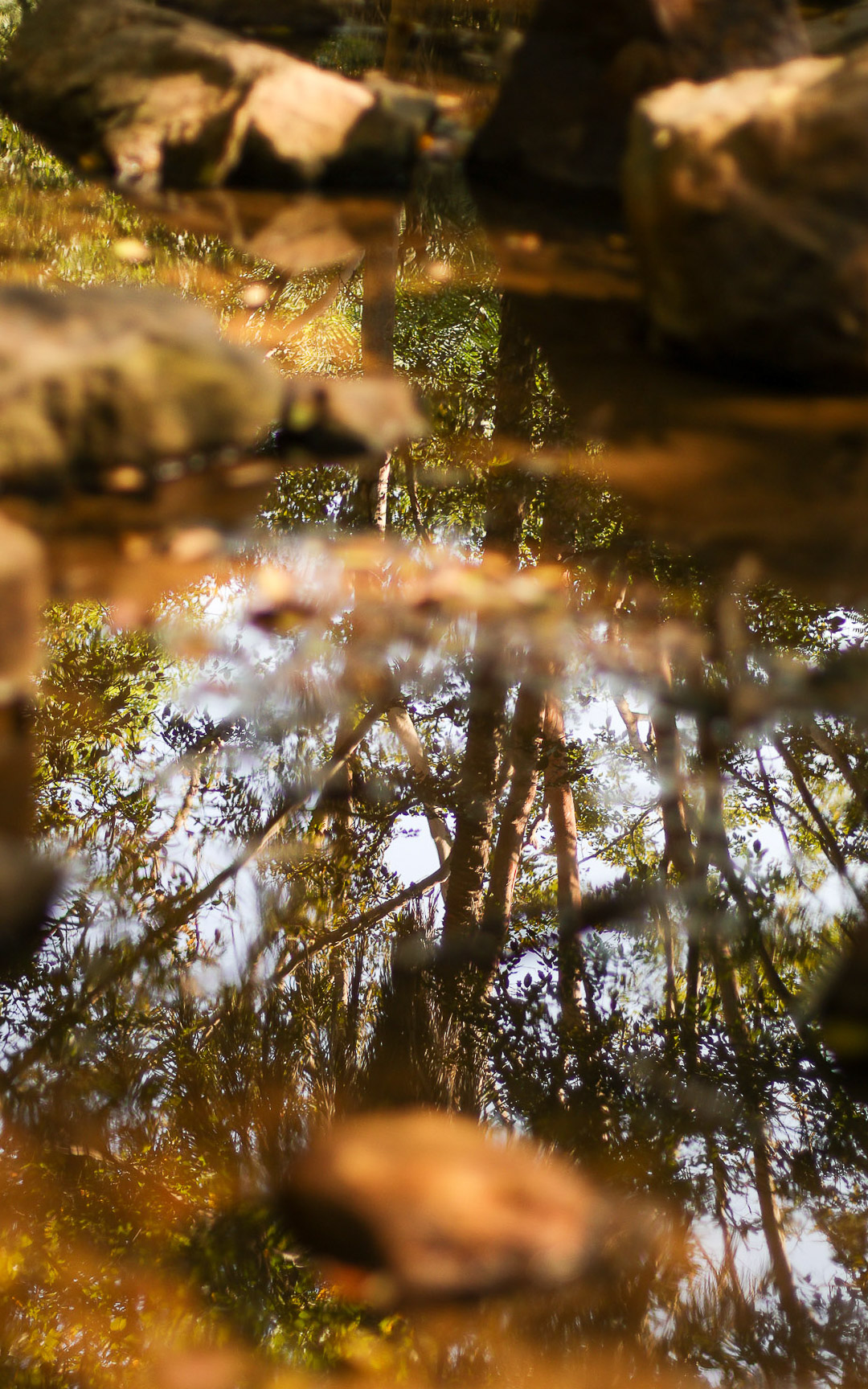 Nature photography by LightFrameStudio